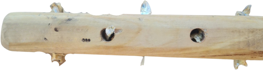 Natural Chew Toy — coffee wood treat holder with fish treats